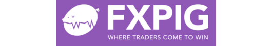 Liquidity Provider | FXPIG - Fintechee